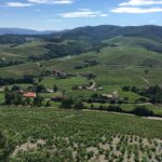 Domaine Viticole
