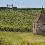 Domaine viticole