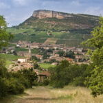 Domaine viticole